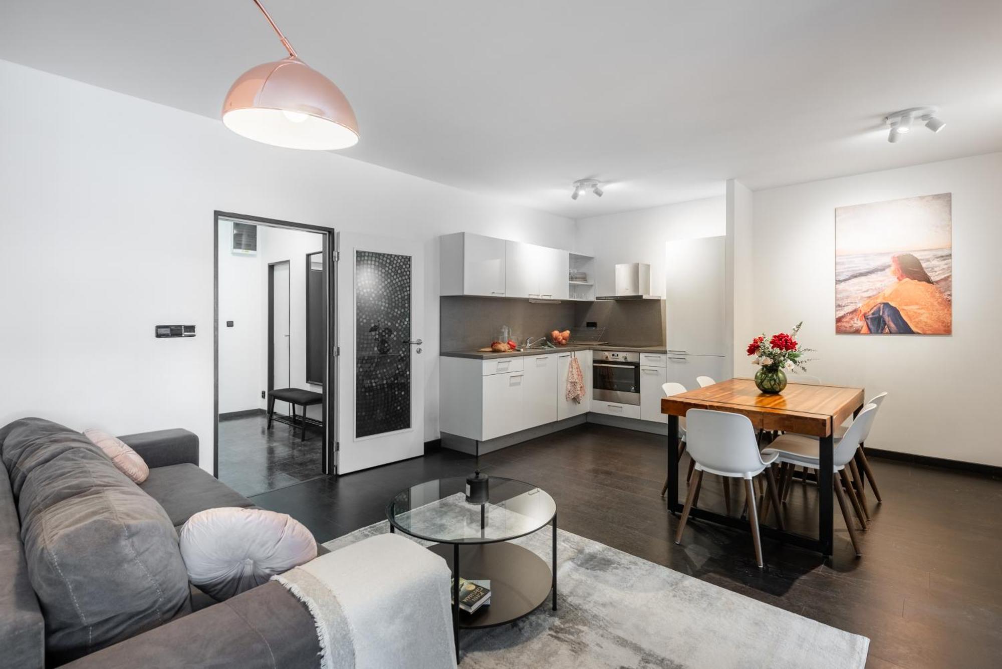 Spacious Apartments Near Karlin Square Prag Dış mekan fotoğraf